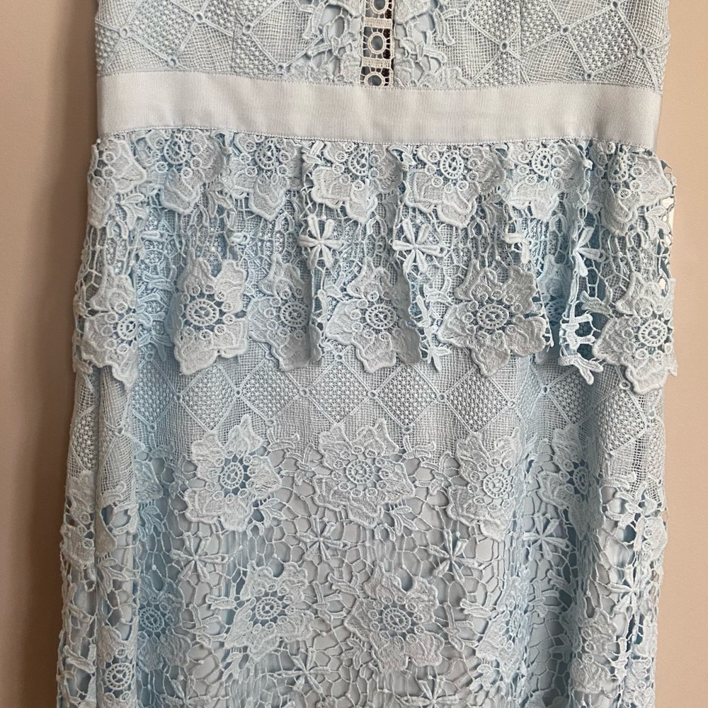 Ted Baker London DIXA Lace Dress - Picture 4 of 12